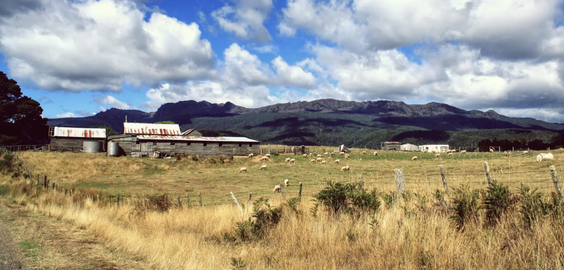 Web Design for Agriculture Cover Image